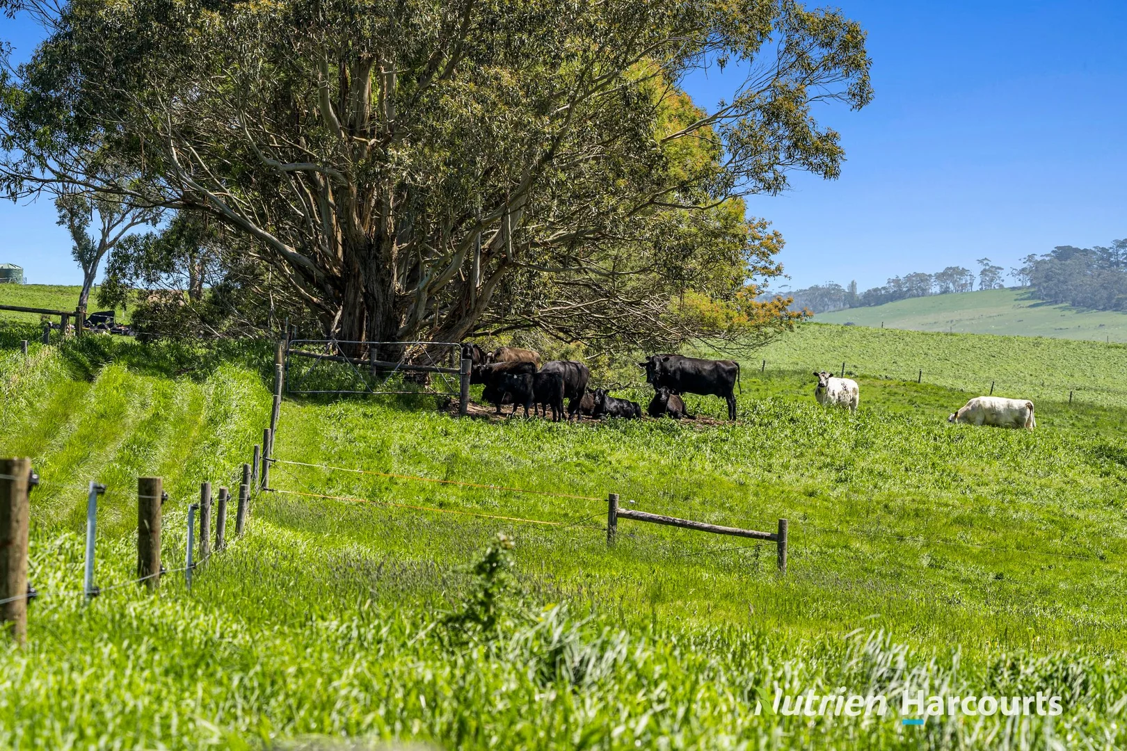 Additional image 13 of Part/880 Timboon - Colac Road, Simpson VIC 3266