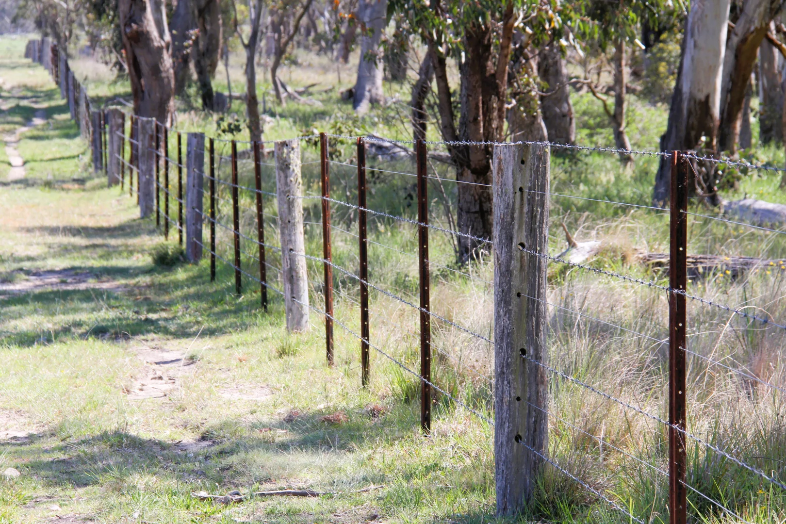 Additional image 14 of 1929 New England Highway, Dundee NSW 2370