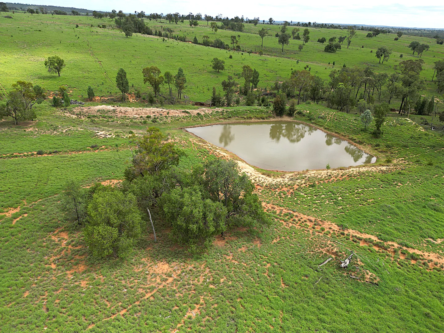 Additional image 15 of Billabong, Orallo Road, Roma QLD 4455