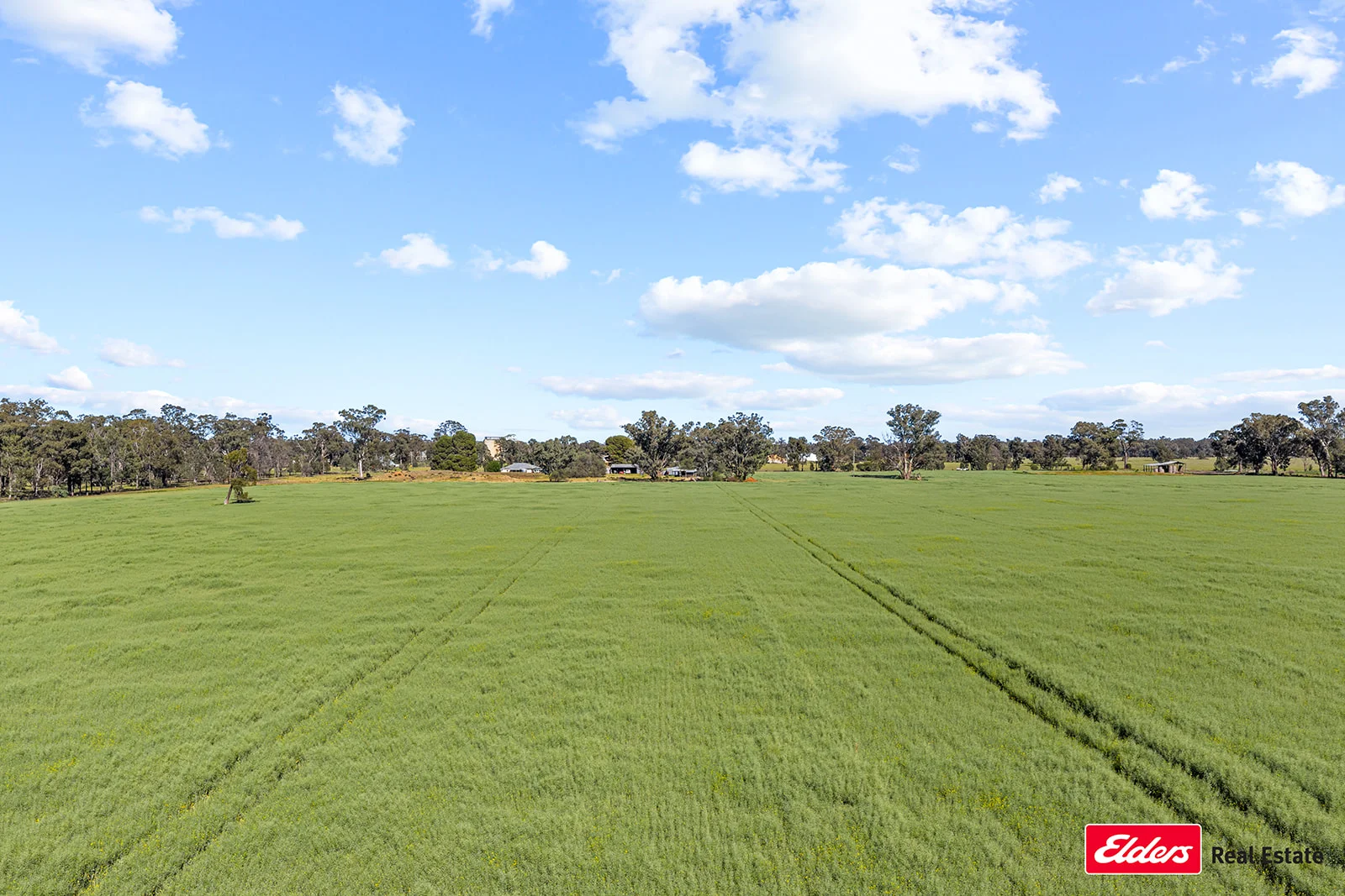 Additional image 9 of 223 Morans Road, Bribbaree NSW 2594