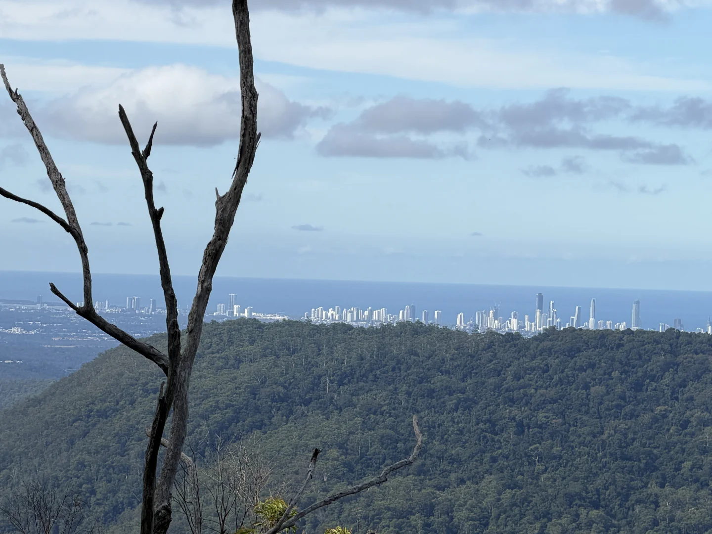 Springbrook QLD 4213 photo 3