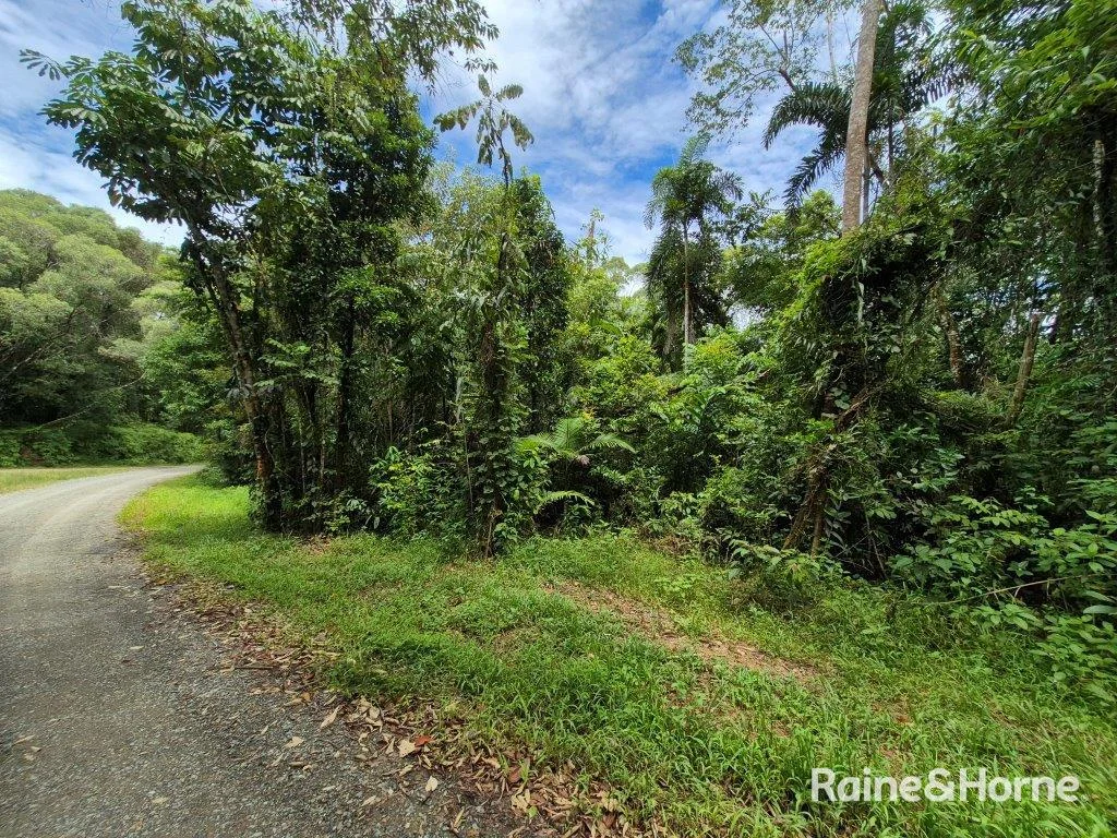 Additional image 14 of Lot 18 George Road, Forest Creek QLD 4873