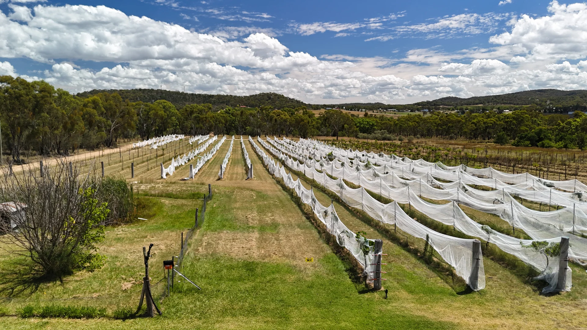 Additional image 26 of 157 Sundown Road, Ballandean QLD 4382