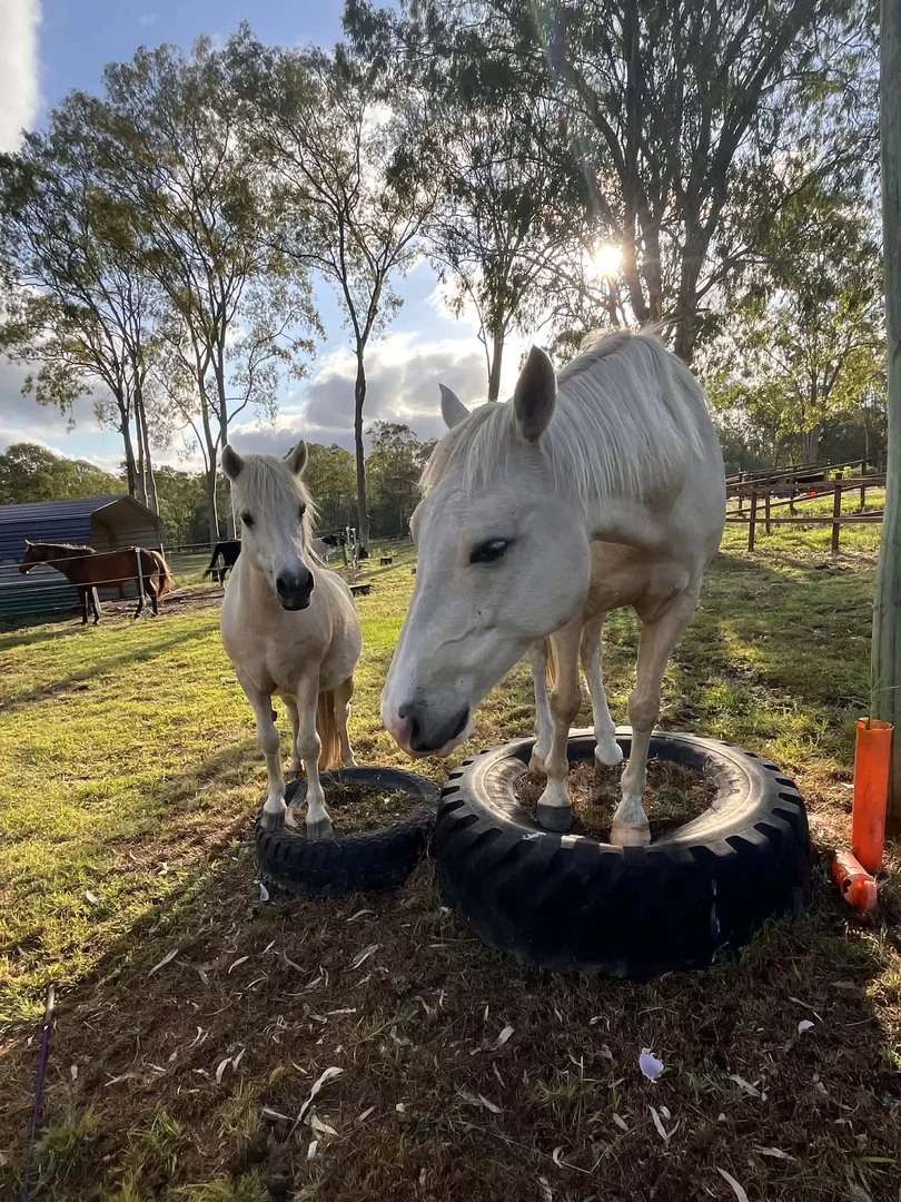 Additional image 34 of 107-115 Garden Road, Cedar Creek QLD 4207