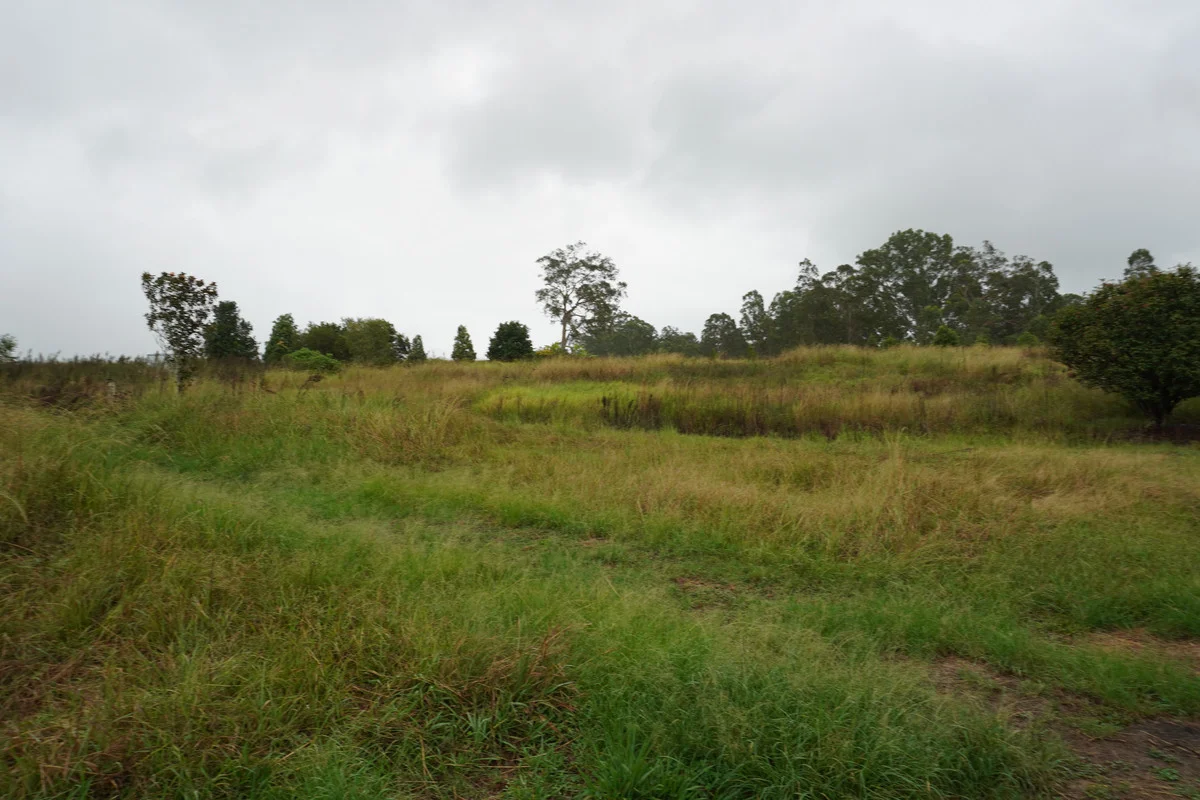 Additional image 10 of 37 Dyraaba Street, Bonalbo NSW 2469