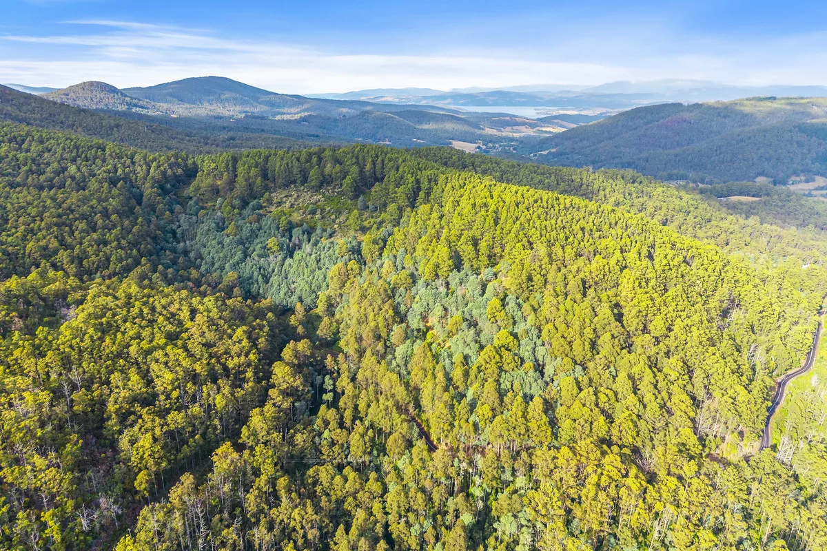Additional image 9 of 3 Nicholls Rivulet Road, Nicholls Rivulet TAS 7112
