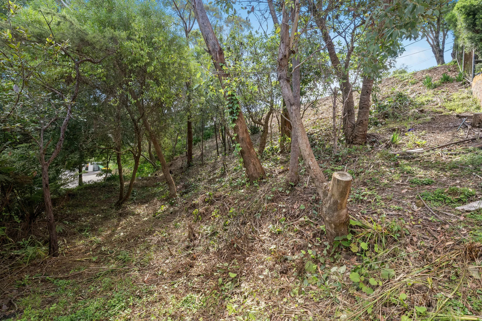 Additional image 6 of 12 Kalinda Road, Bullaburra NSW 2784