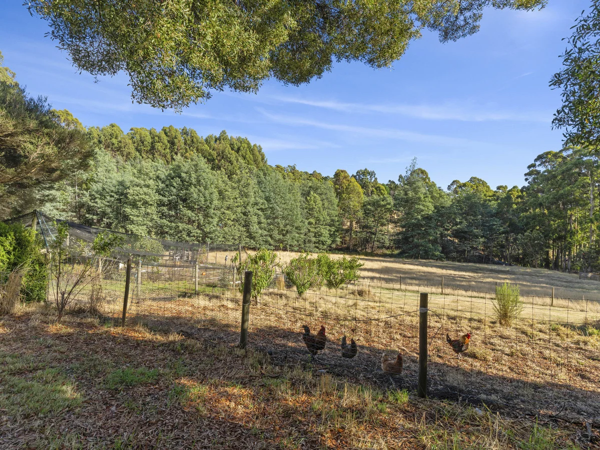 Additional image 14 of 351 Sheffield Road, Acacia Hills TAS 7306