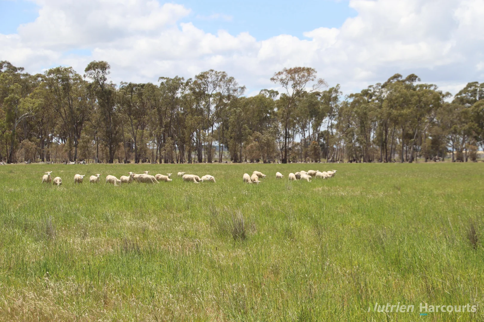 345 McDonalds Road, Clunes VIC 3370 photo 4