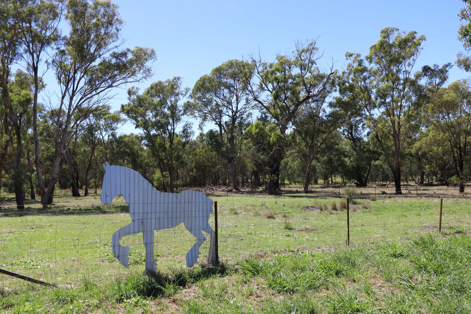 52 BENDICK MURRELL ROAD, Bendick Murrell via, Young NSW 2594 photo 2
