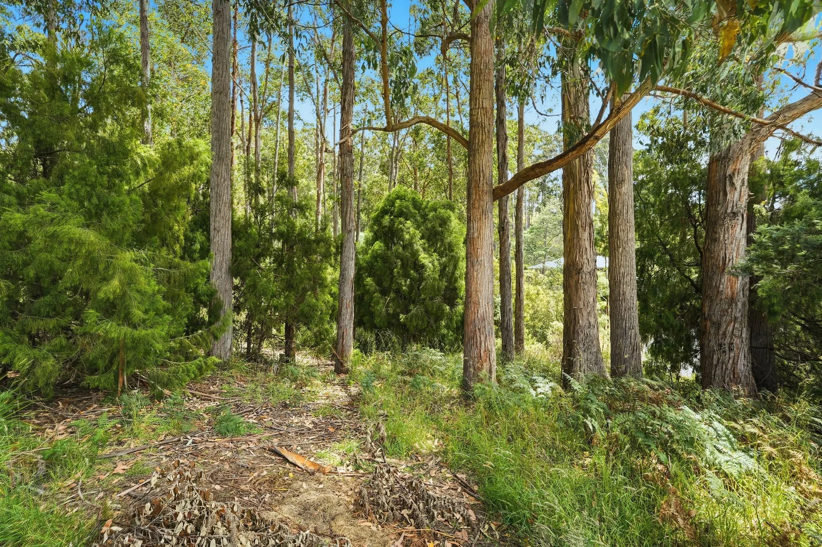 Additional image 6 of Lots 9 & 10 Esperance Coast Road, Dover TAS 7117