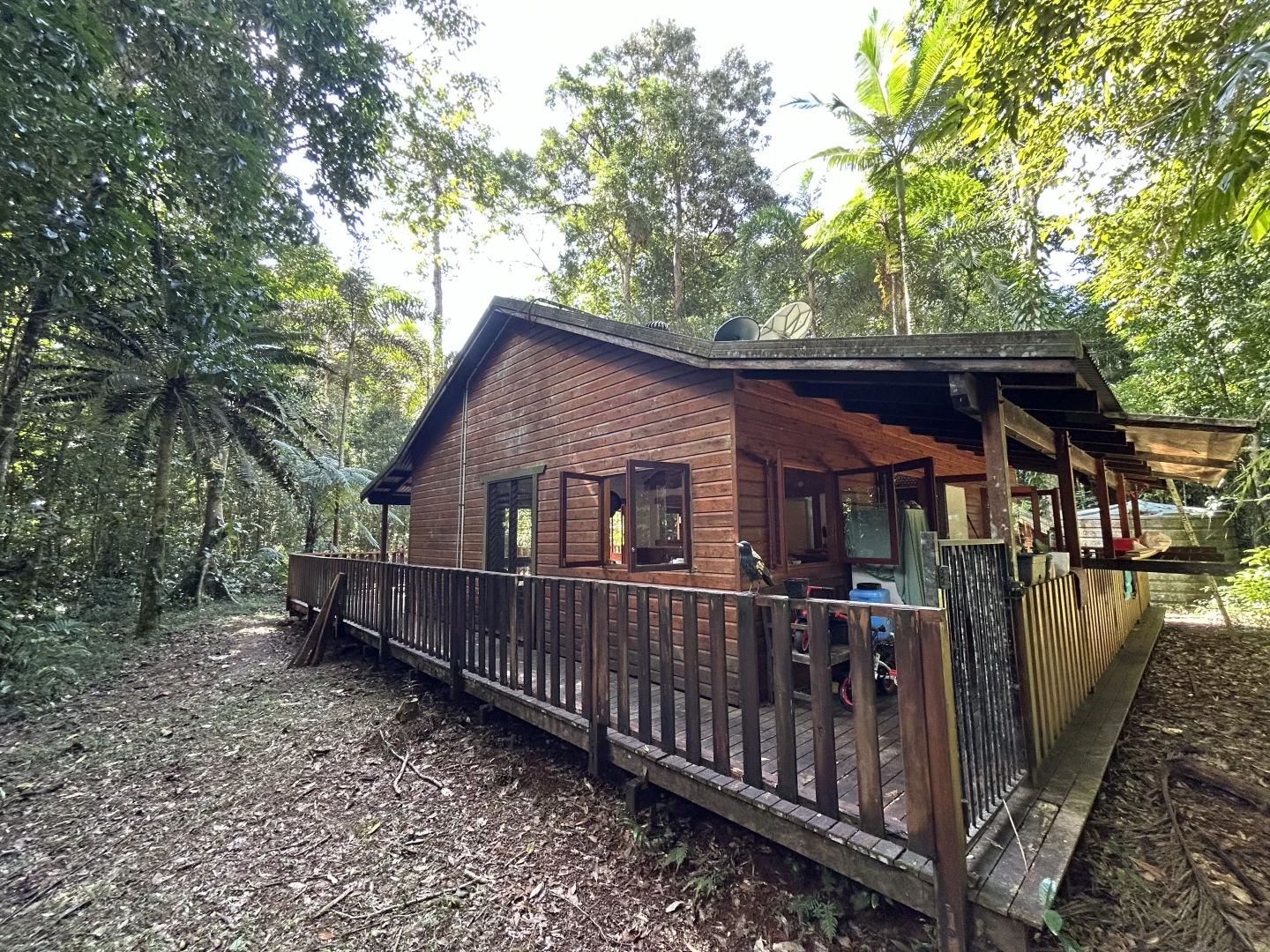 Additional image 14 of Lot 460 Black Bean Road, Daintree QLD 4873
