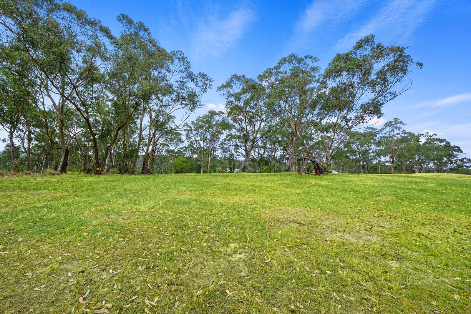 Additional image 10 of 339 Maguires Road, Maraylya NSW 2765