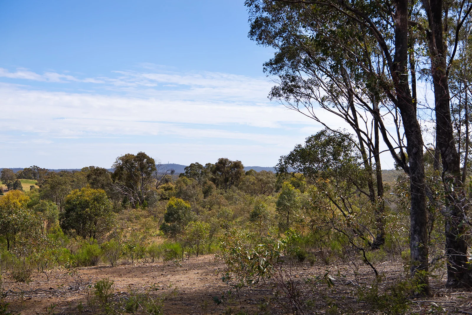 Additional image 13 of 3 Mandurang South Road, Mandurang South VIC 3551