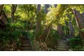 Additional image 59 of 5 Viox Way, San Rafael, CA, 94901