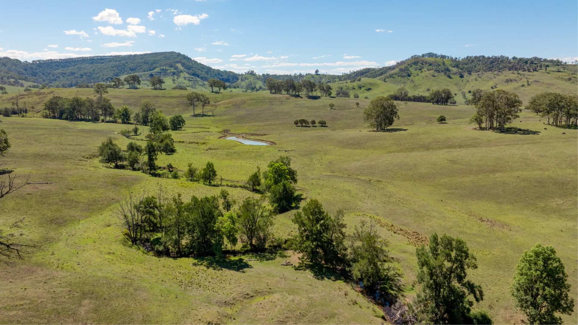 Additional image 6 of 1993 Glendonbrook Road, Gresford NSW 2311