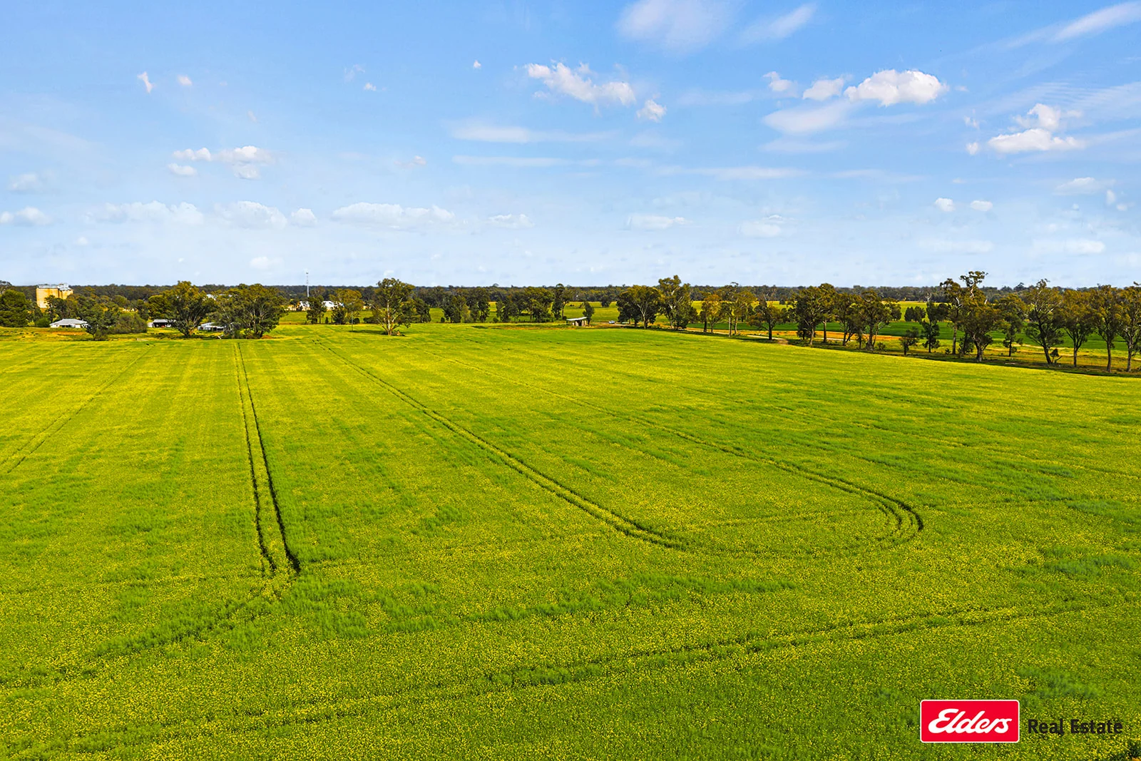 Additional image 3 of 223 Morans Road, Bribbaree NSW 2594
