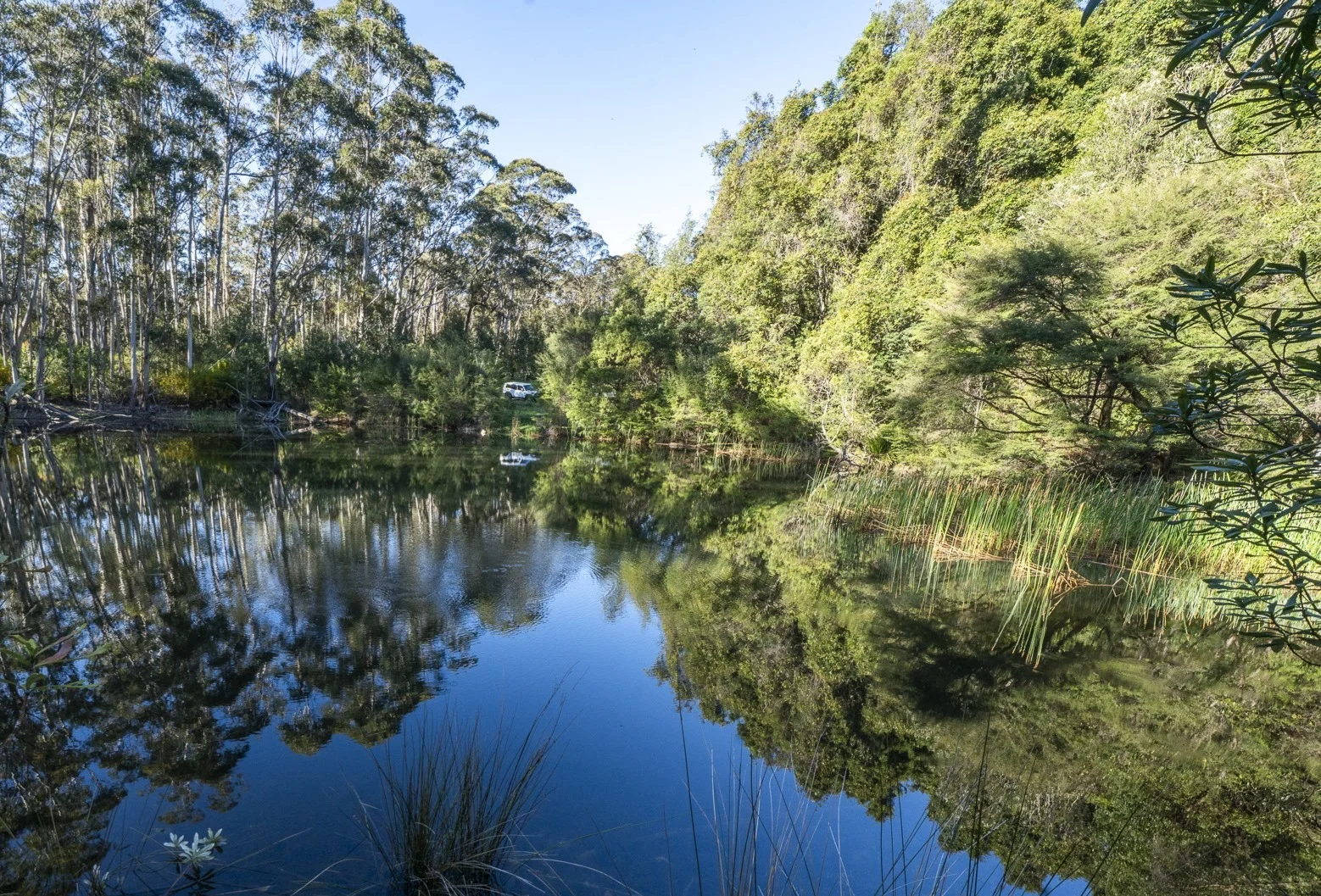 Additional image 25 of 68 - 76 Mount Irvine Road, Mount Wilson NSW 2786