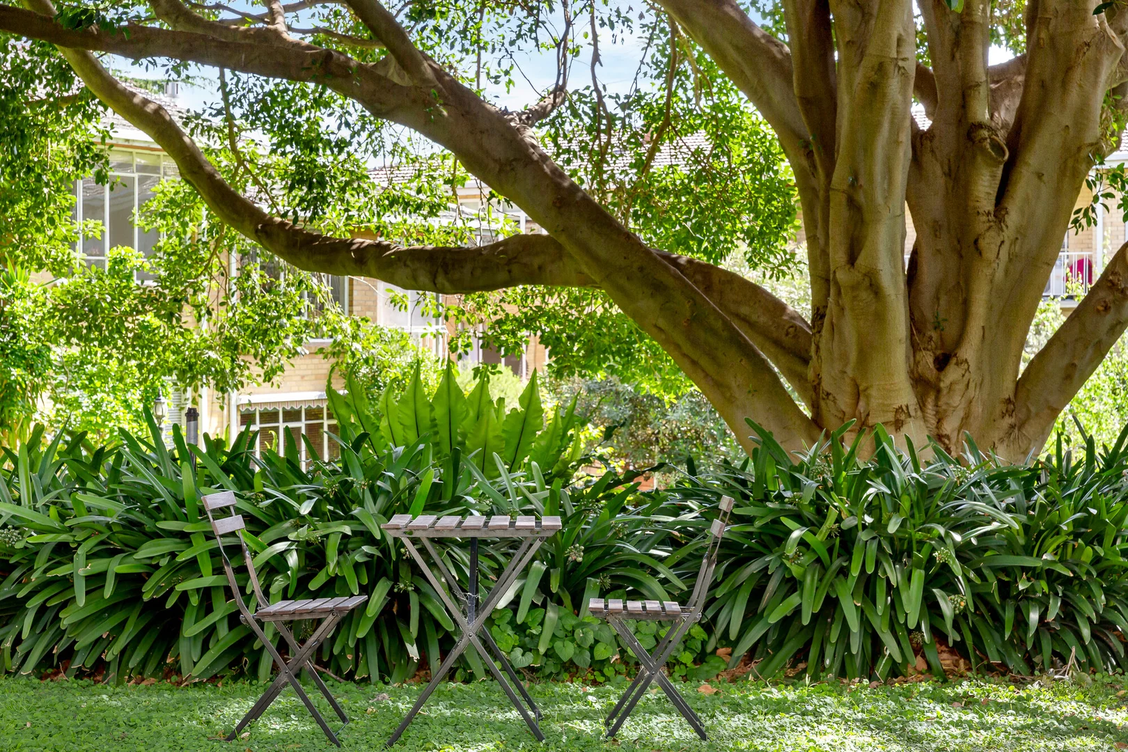 Additional image 10 of 29/20 Shirley Grove, St Kilda East VIC 3183