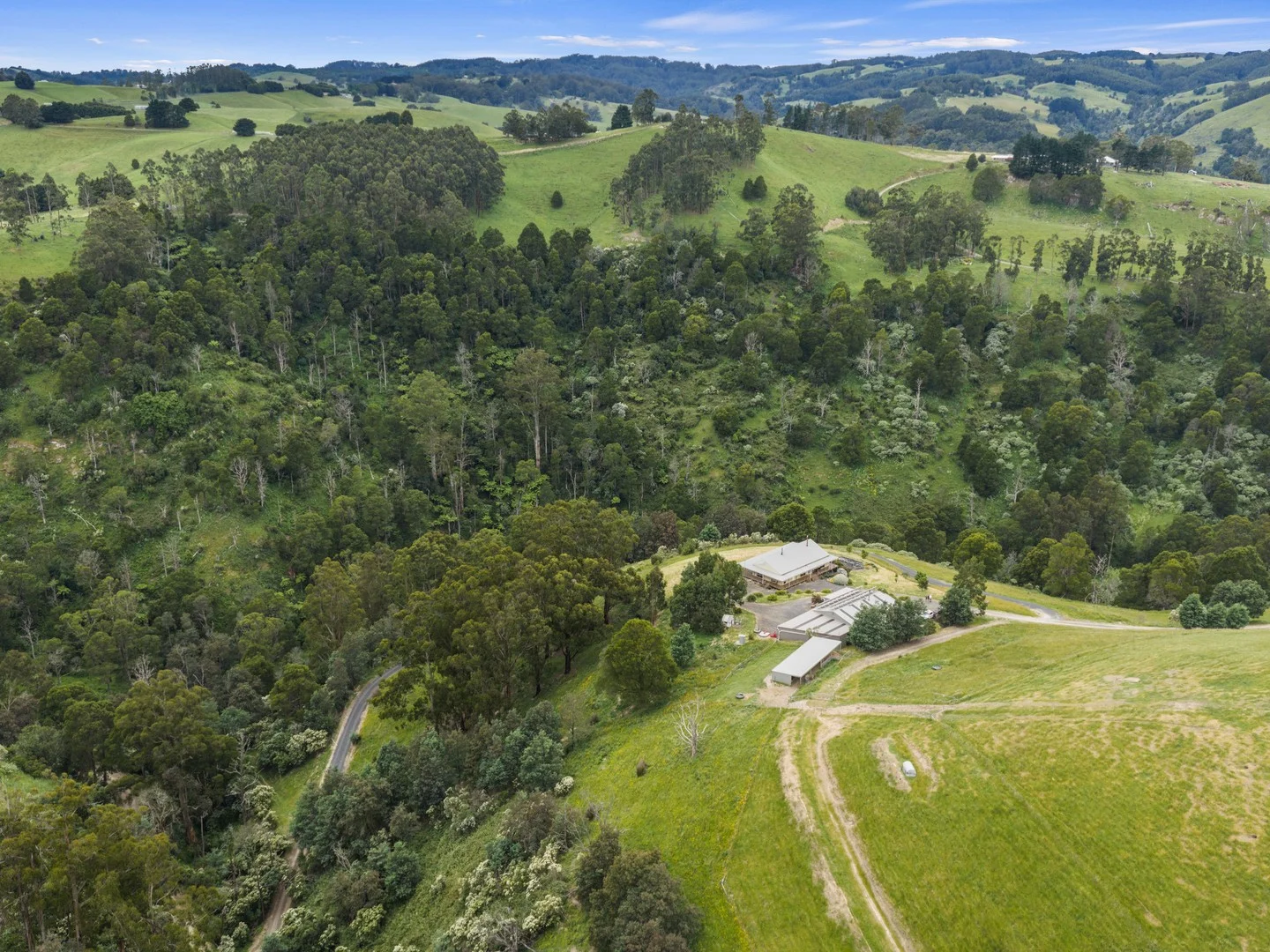 350 Wild Dog Road, Strzelecki VIC 3950