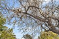 Additional image 29 of 4260 Via Arbolada Unit 206, Los Angeles, CA, 90042