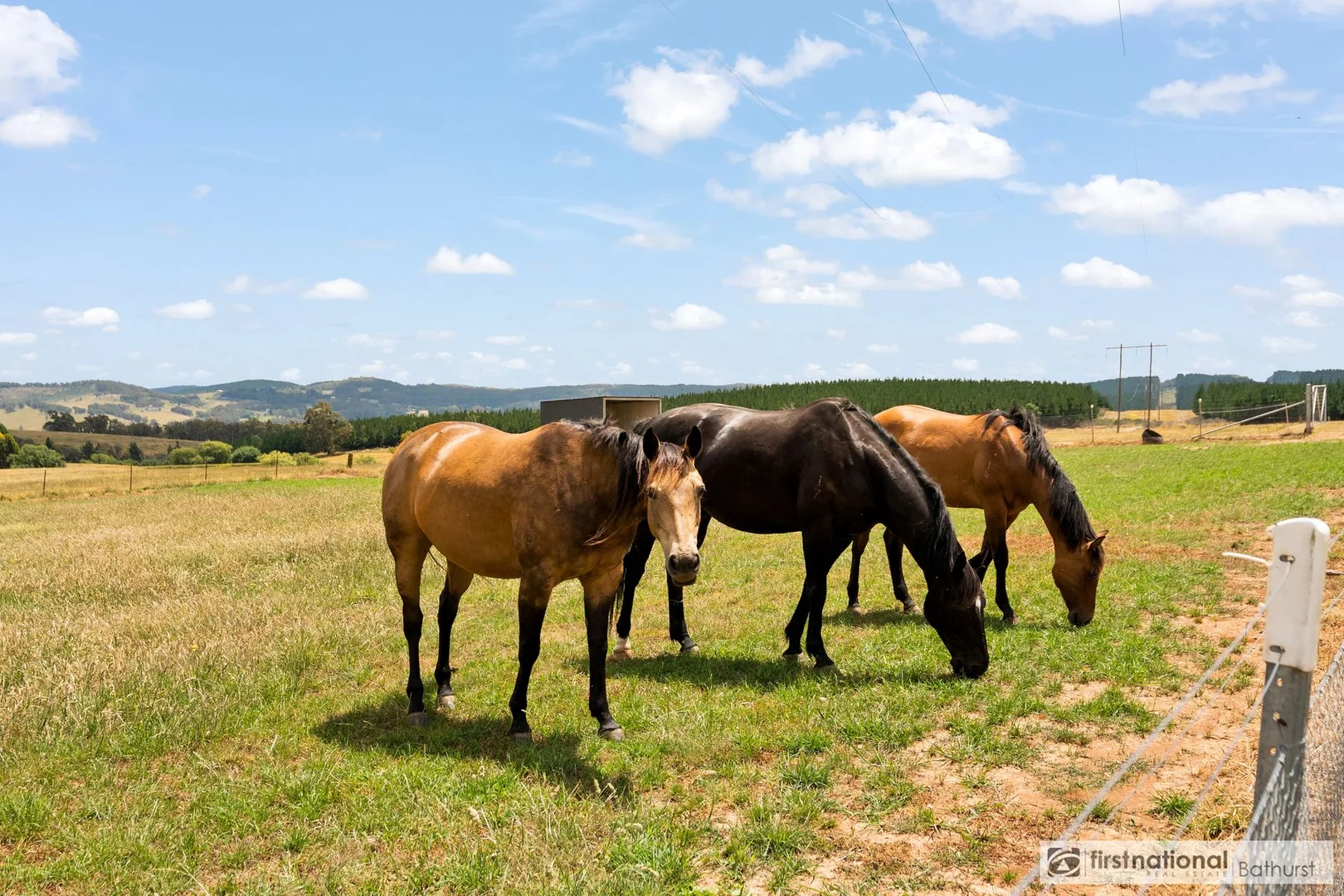 Additional image 45 of 75 Mcmanus Road, Meadow Flat NSW 2795