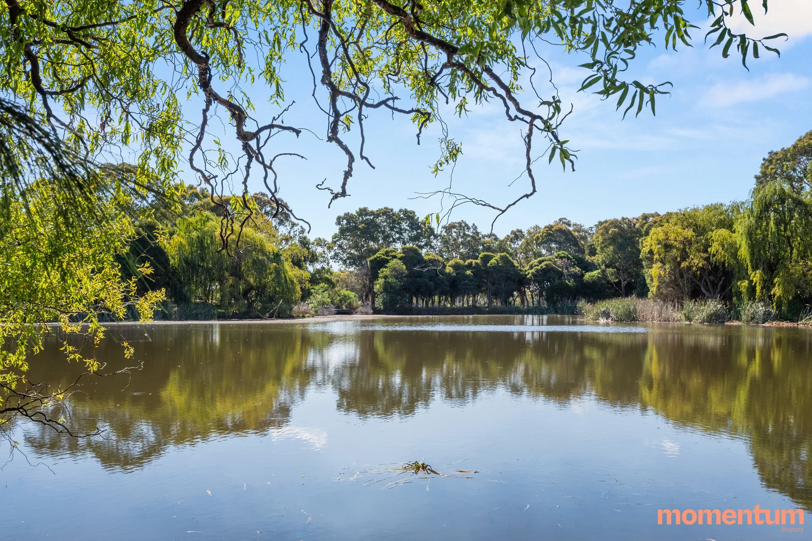 Additional image 18 of 5/1 Eardley Street, Bruce ACT 2617