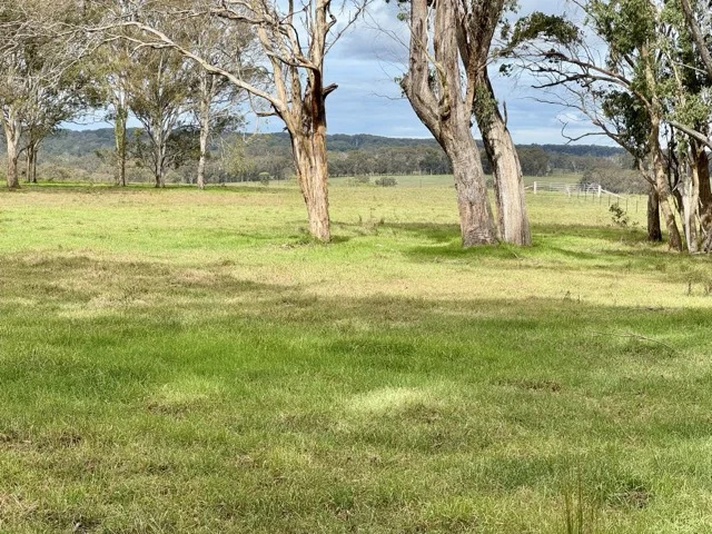 Additional image 3 of 5440 Mount Lindesay Road, Liston NSW 2372