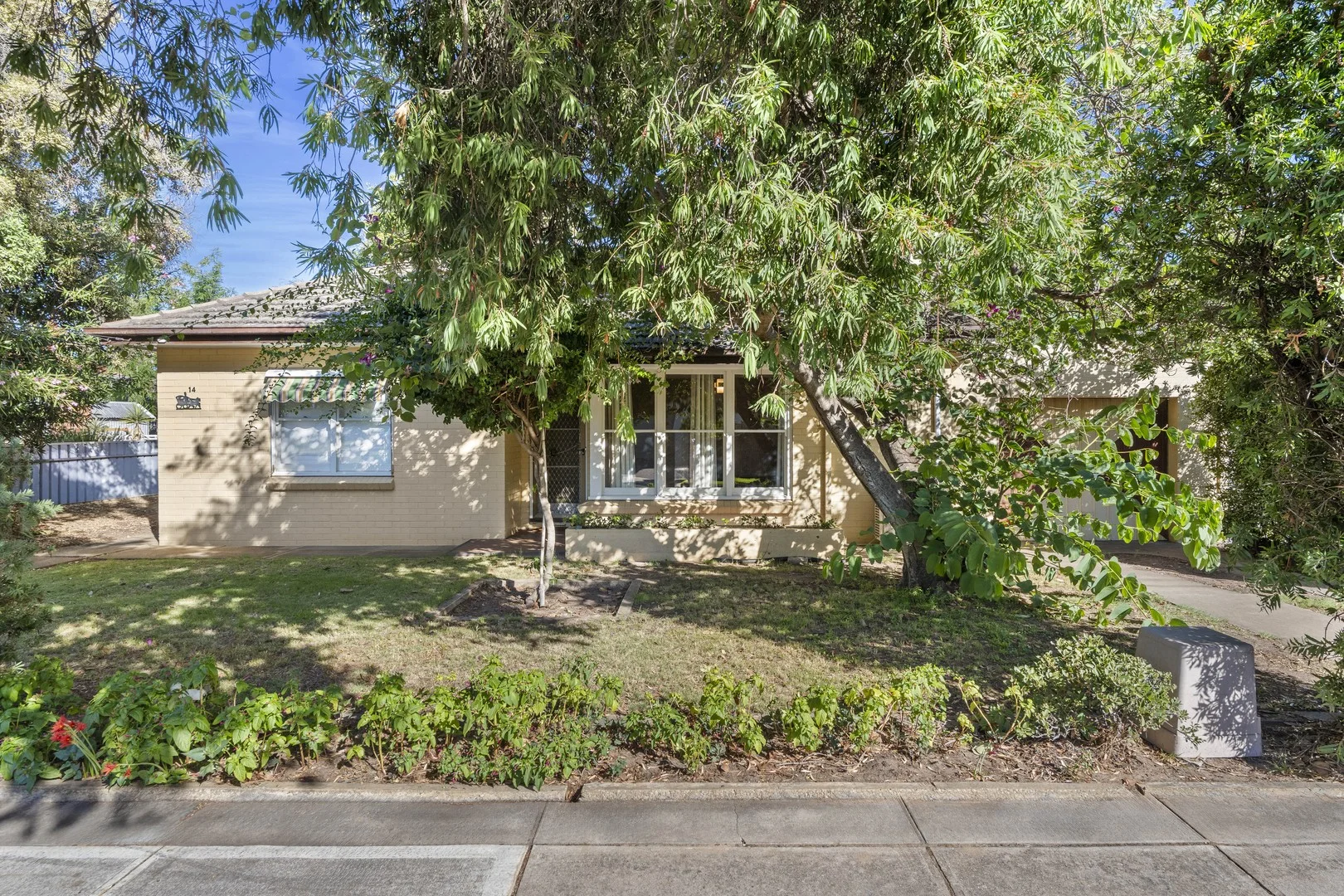 14 Wongala Avenue, Glenelg North SA 5045