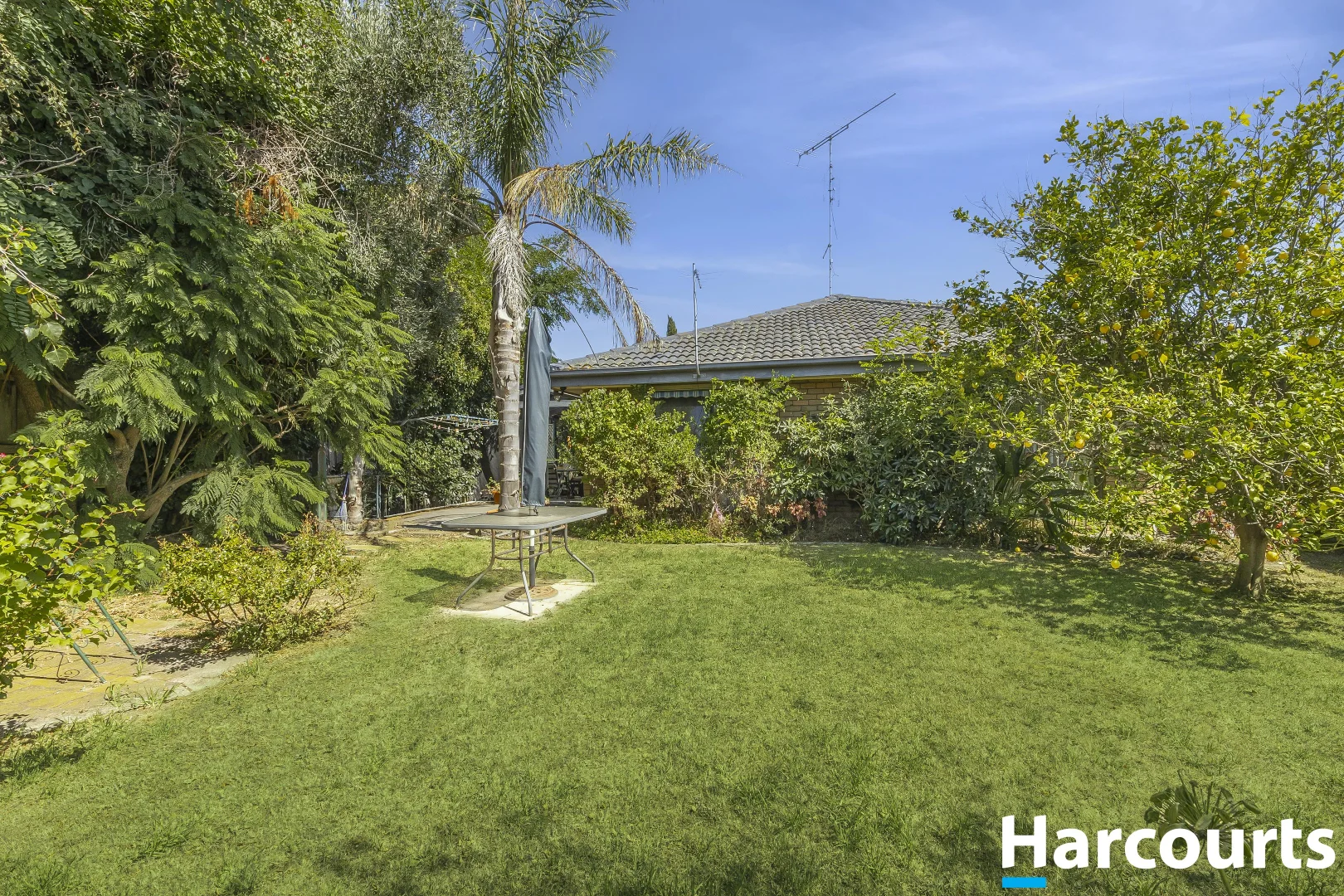 Additional image 2 of 93 Country Club Drive, Clifton Springs VIC 3222