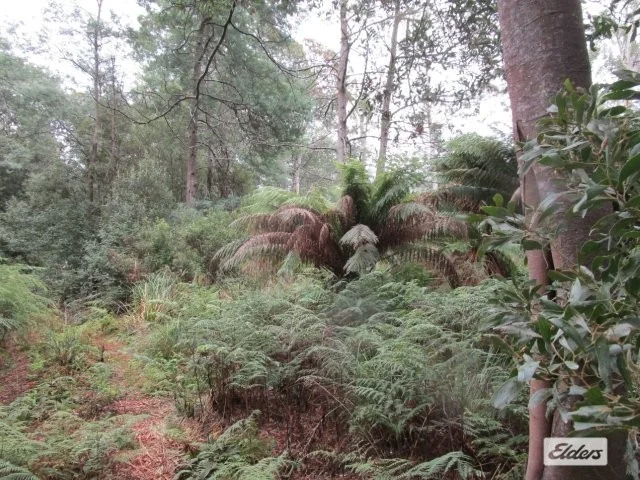 Additional image 9 of Lot 3 Jordans Road, North Motton TAS 7315