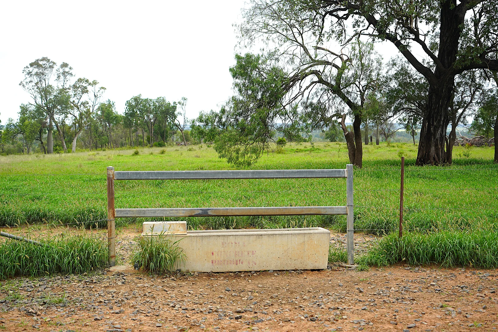 Additional image 6 of Billabong, Orallo Road, Roma QLD 4455