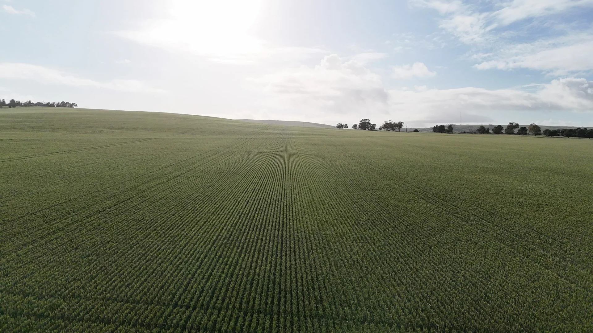 Additional image 2 of 'Crystal Valley' Talbots Road, Crystal Brook SA 5523