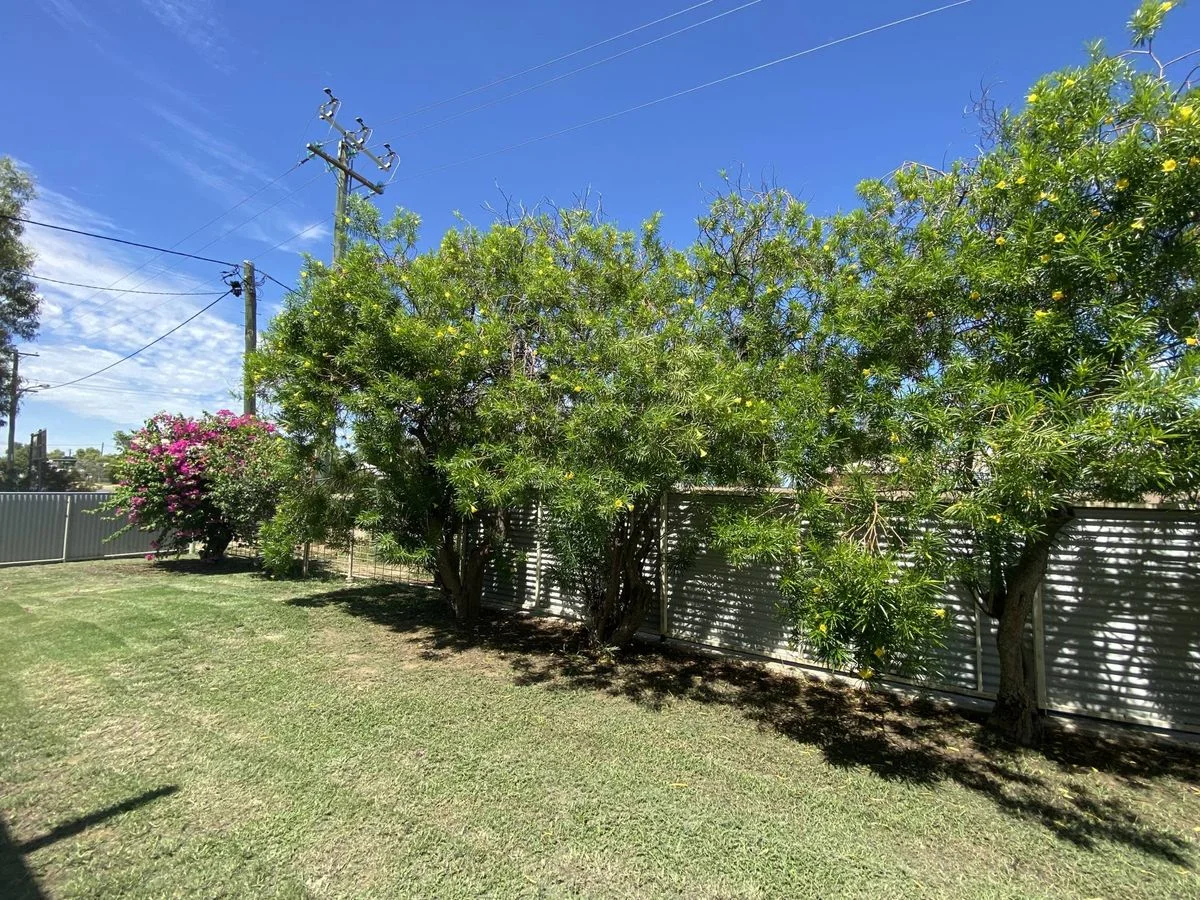 Additional image 15 of 20 Elderslie Street, Winton QLD 4735
