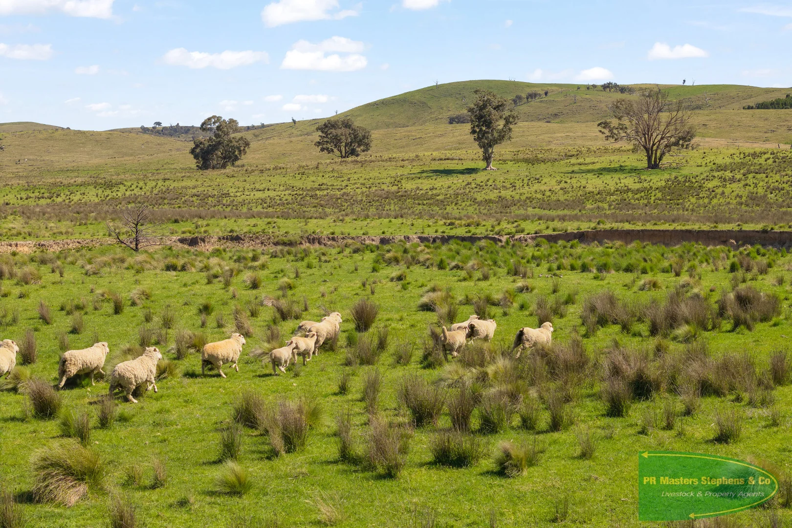 Additional image 21 of 351 Shepherds Creek Road, Euchareena NSW 2866