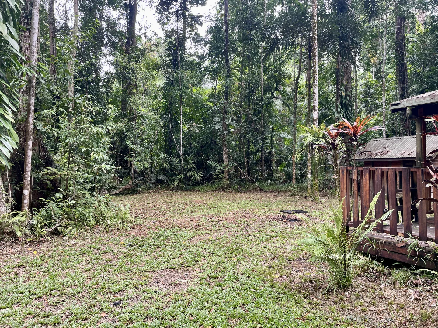 Additional image 17 of Lot 460 Black Bean Road, Daintree QLD 4873