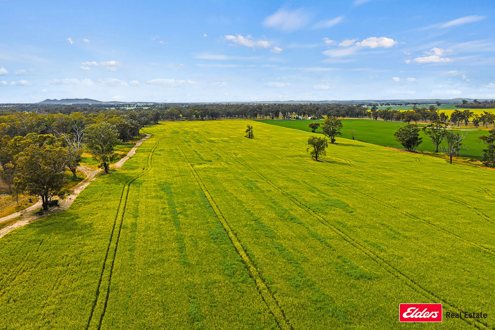 Additional image 15 of 223 Morans Road, Bribbaree NSW 2594