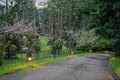 Additional image 75 of 350 Aurora Rd, Soquel, CA, 95073