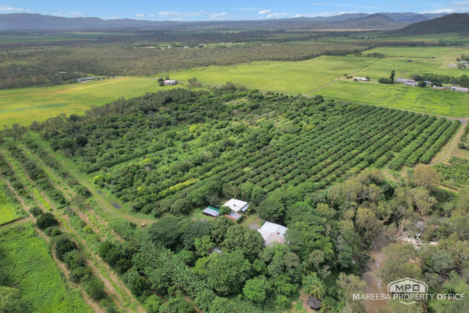 346 Roiko Road, Mareeba QLD 4880 photo 5