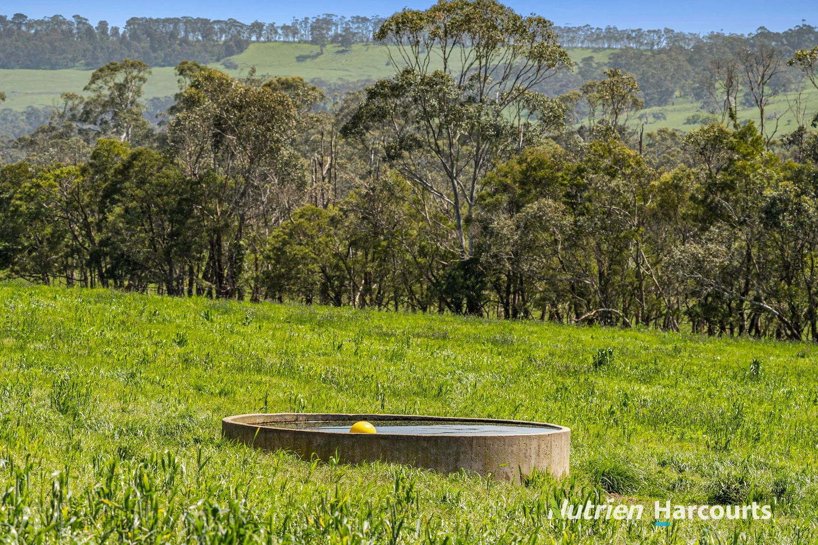 Additional image 12 of Part/880 Timboon - Colac Road, Simpson VIC 3266