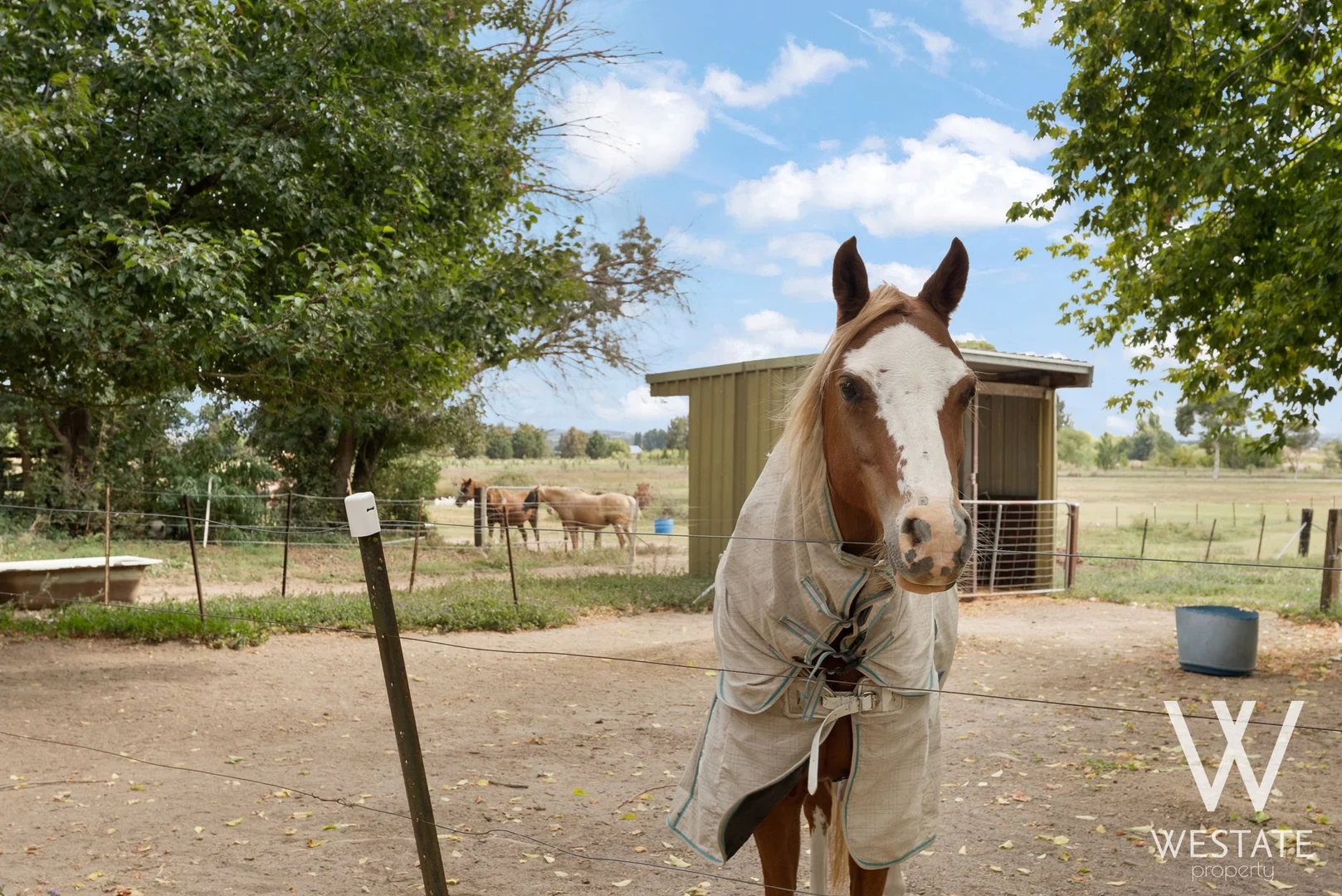 Additional image 31 of 13A Macquarie Street, West Bathurst NSW 2795