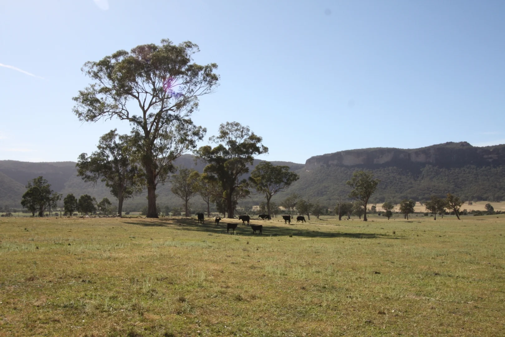Additional image 2 of 429 & 503 Upper Nile Road, Rylstone NSW 2849
