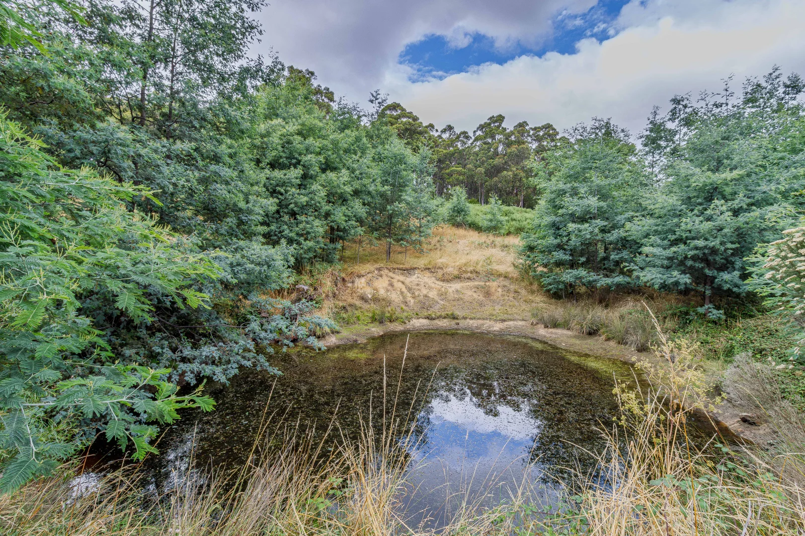 Additional image 4 of Geeveston TAS 7116