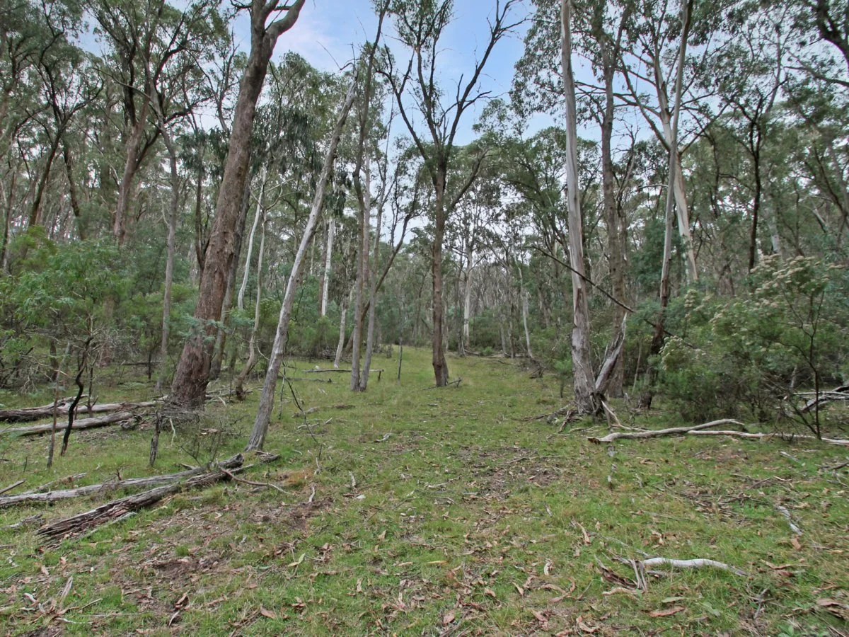 Additional image 5 of 135 Kangaroo Track, Omeo VIC 3898