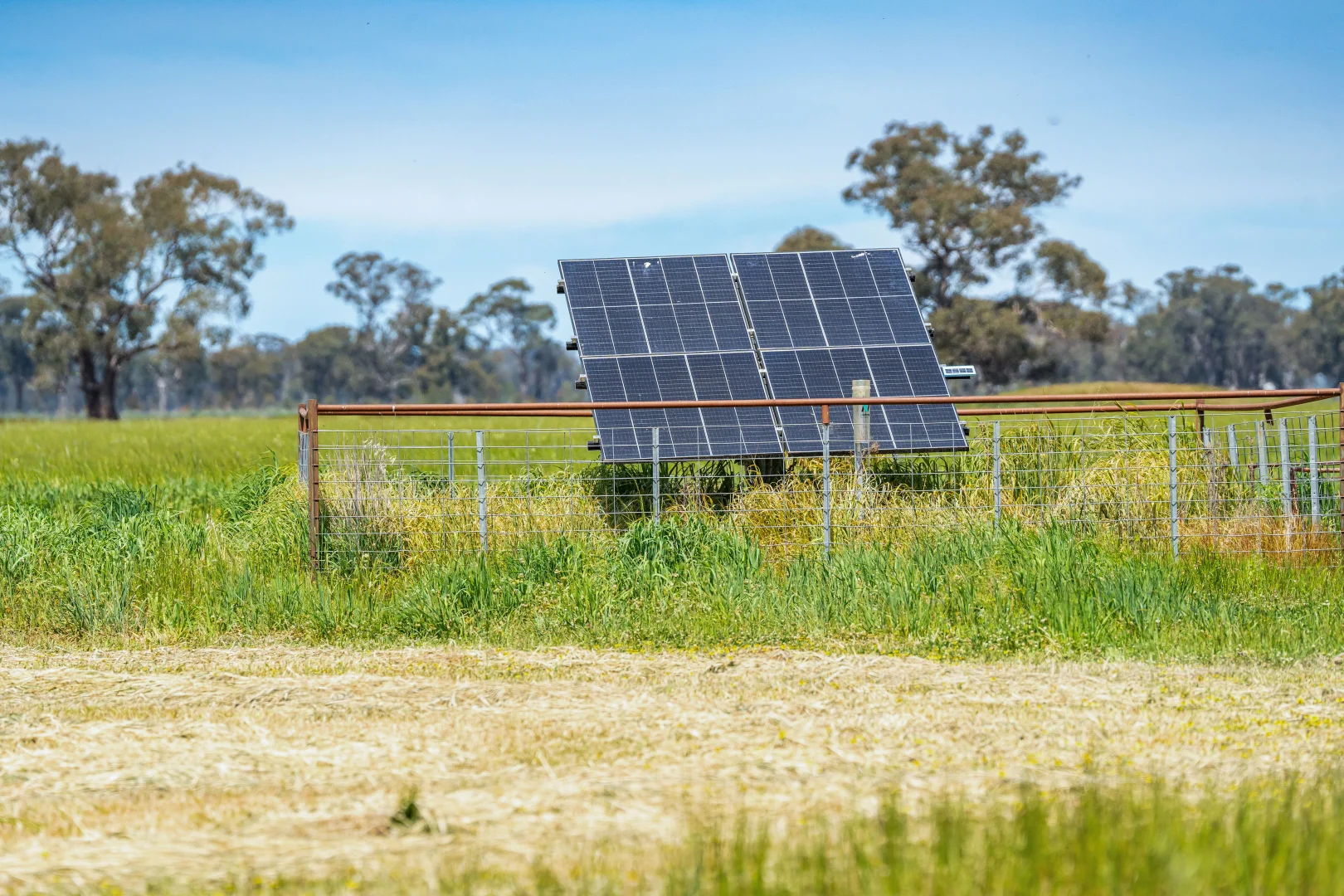 Additional image 4 of Lot 1 Boorhaman-Springhurst Road, Springhurst VIC 3682