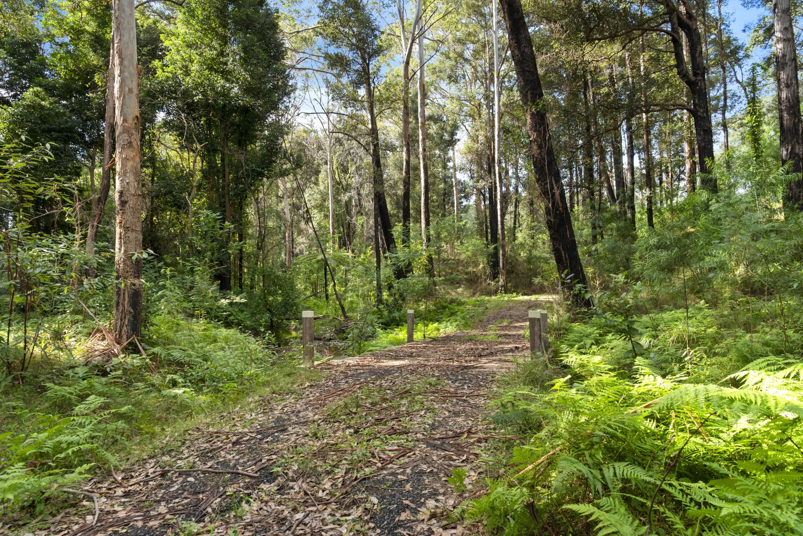 Additional image 18 of 669a Woodburn Road, Morton NSW 2538