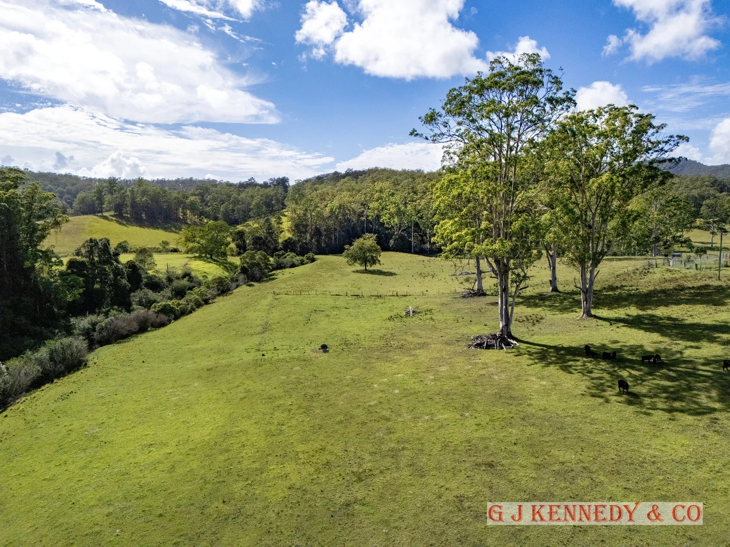 Additional image 4 of 223 Bakers Creek Road, Taylors Arm NSW 2447