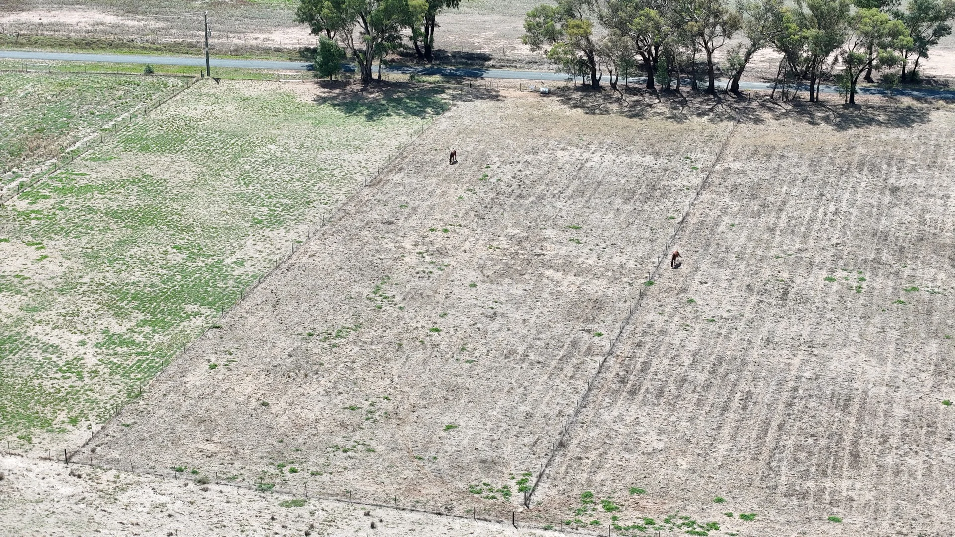 244 Manganese Road, Grenfell NSW 2810