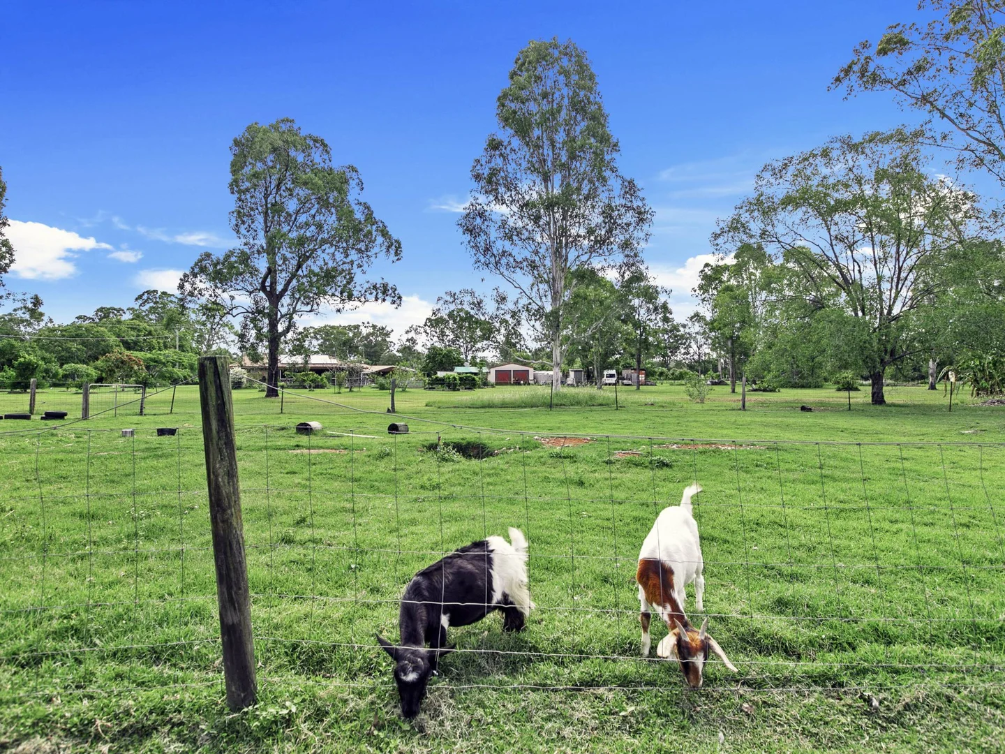 Additional image 26 of 17 Fairview Lane, Tinana QLD 4650