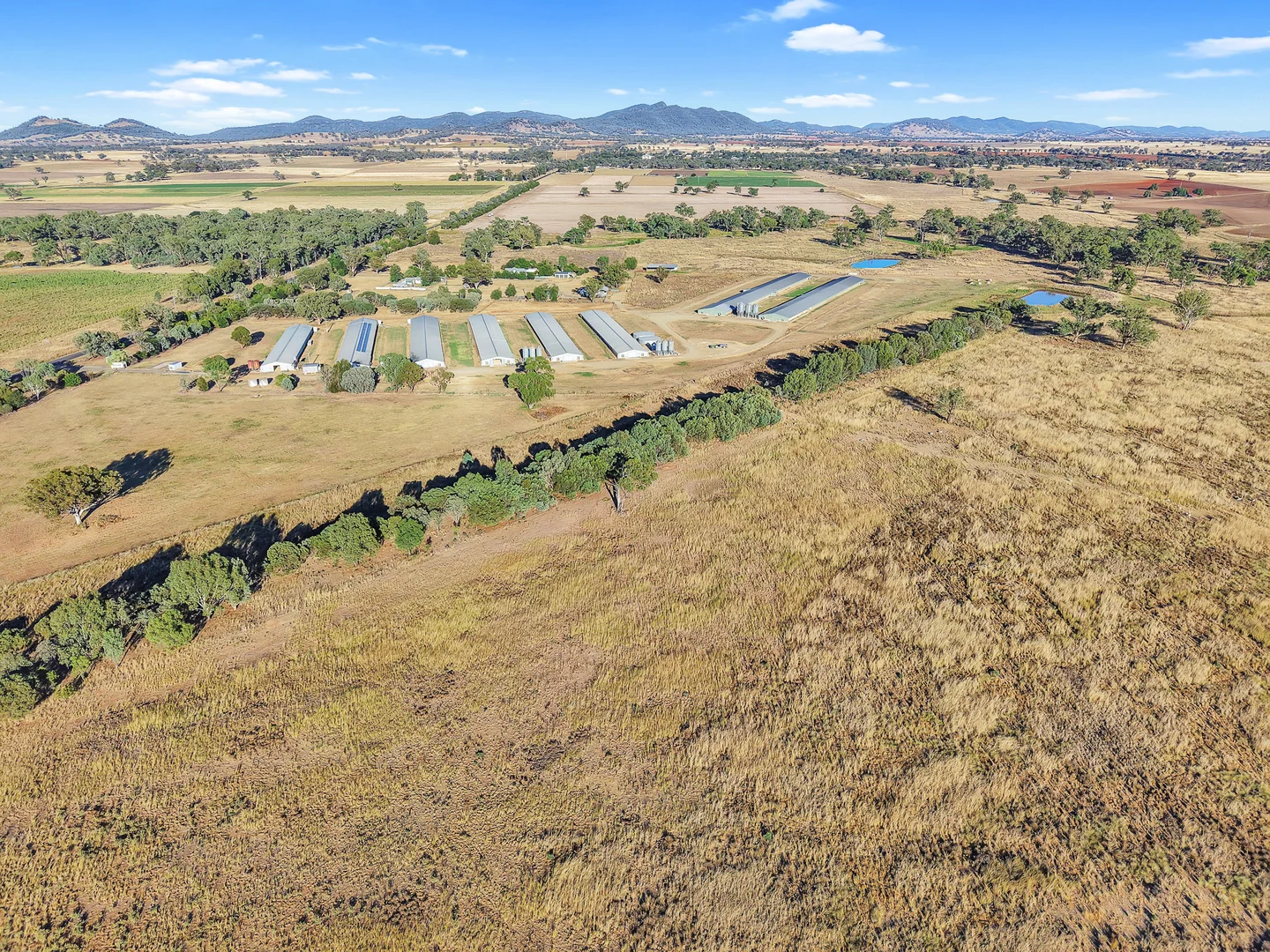 Additional image 18 of 231 Duri-Dungowan Road, Duri NSW 2344